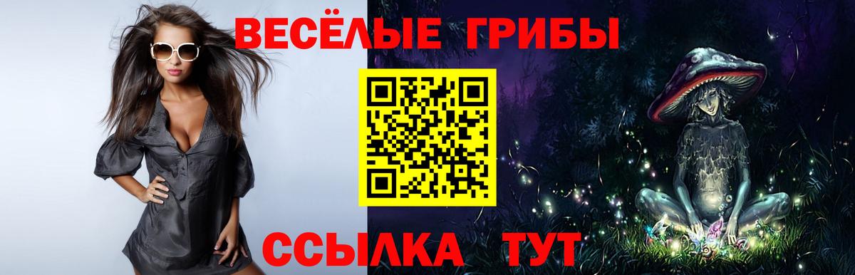 Качканар  Галлюциногенные грибы мухоморы  Галлюциногенные грибы мицелий  купить  сайты  Вход с VPN 